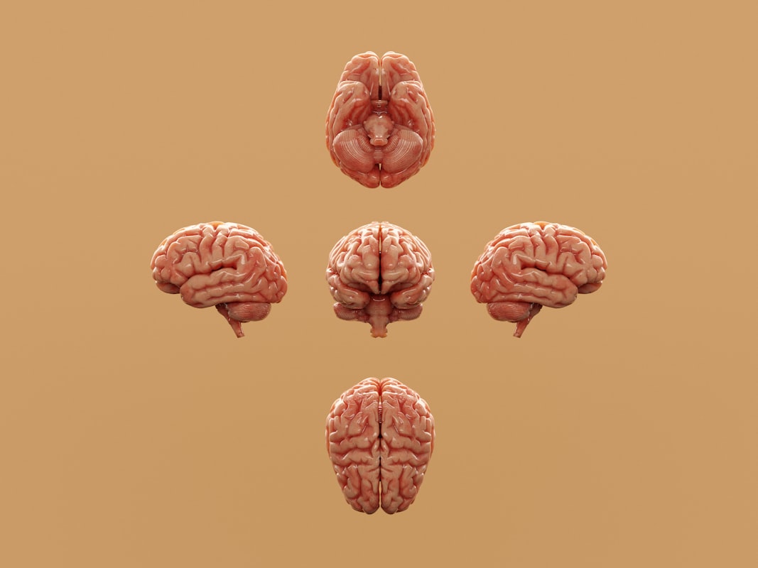 Brain-boosting recipes